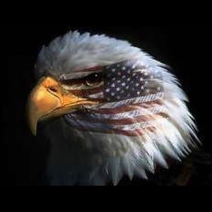 Meet your Posher, Art